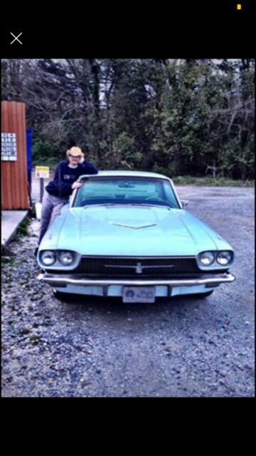 Ford Thunderbird 1966 image number 17