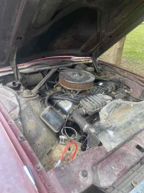 Ford Thunderbird 1965 image number 6