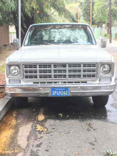 Chevrolet C10/K10 1976 image number 19