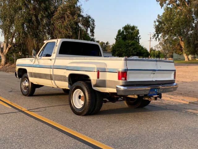Chevrolet C-10 1979 image number 5