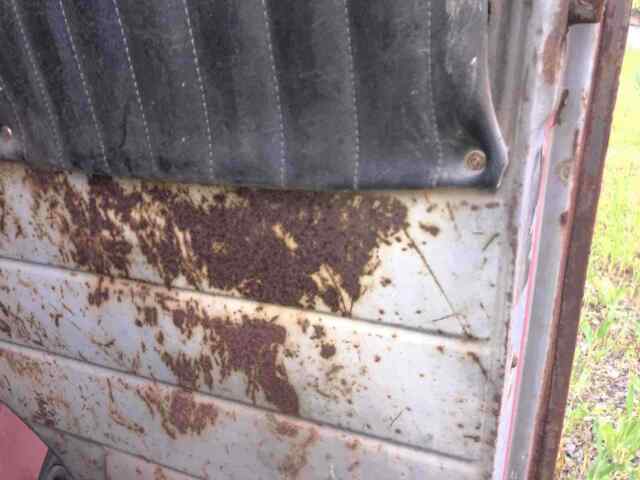 GMC 5200 1952 image number 20