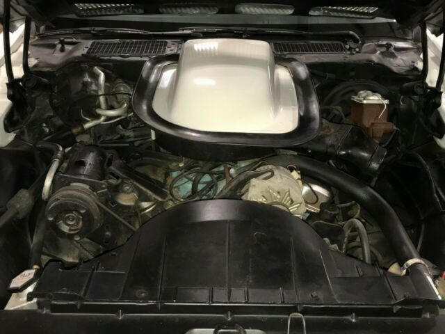 Pontiac Trans Am 1973 image number 30