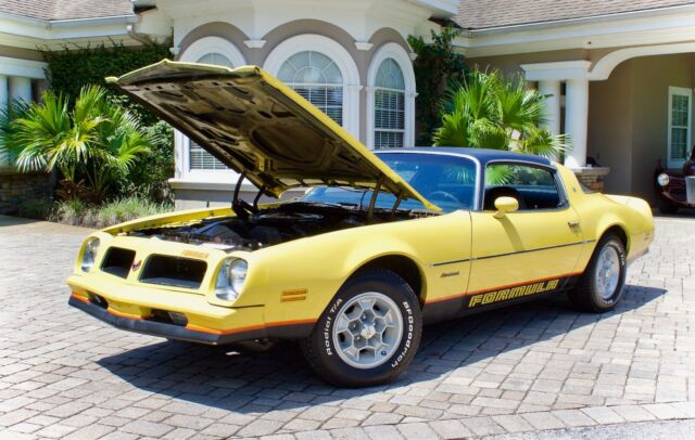 Pontiac Firebird 1976 image number 10