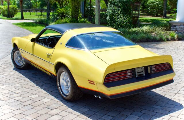 Pontiac Firebird 1976 image number 8