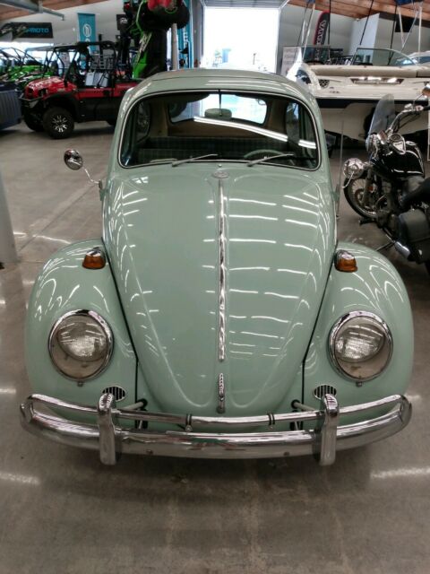 Volkswagen Beetle - Classic 1965 image number 1