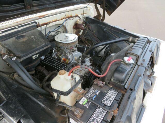 Chevrolet C-10 1965 image number 19