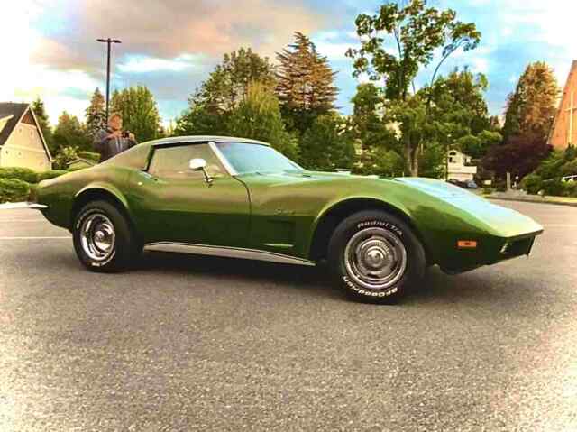 Chevrolet corvette stingray 454 1973 image number 14