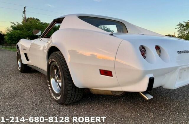 Chevrolet Corvette 1976 image number 6