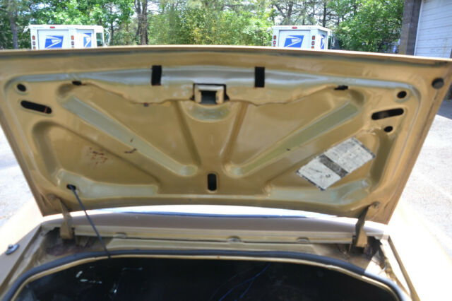 Pontiac Firebird 1979 image number 19
