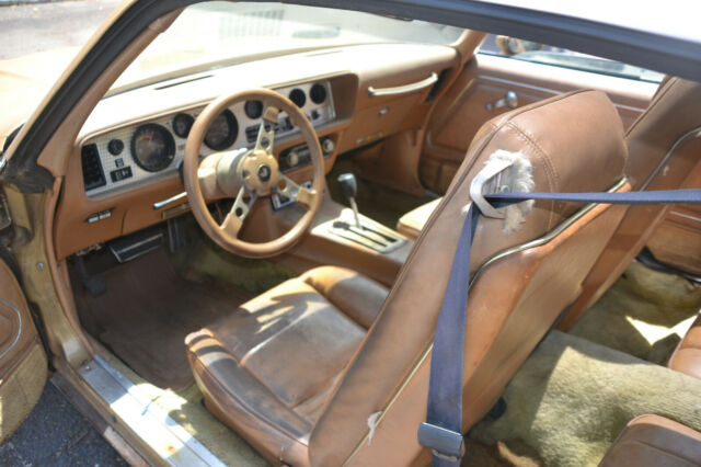 Pontiac Firebird 1979 image number 30