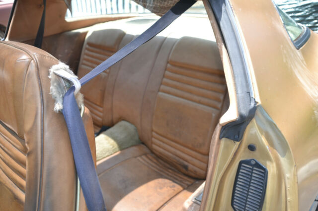 Pontiac Firebird 1979 image number 31