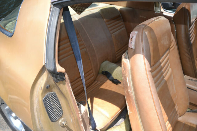 Pontiac Firebird 1979 image number 33
