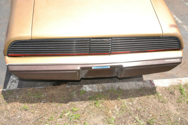 Pontiac Firebird 1979 image number 4