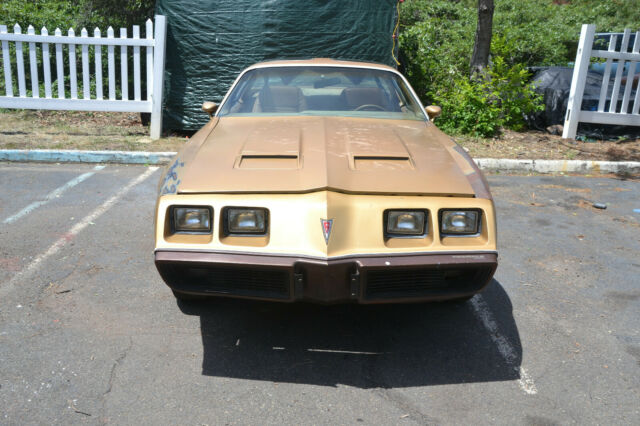 Pontiac Firebird 1979 image number 5