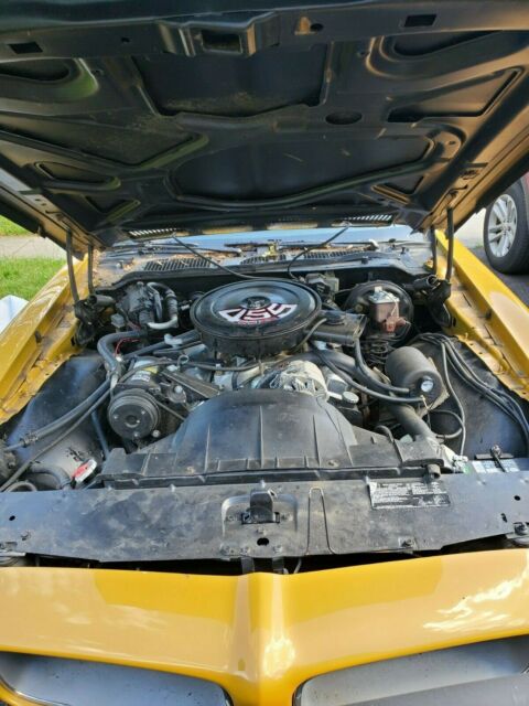 Pontiac Firebird 1971 image number 10
