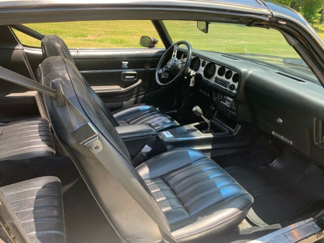 Pontiac Trans Am 1979 image number 13