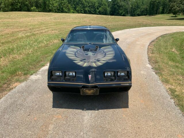 Pontiac Trans Am 1979 image number 14