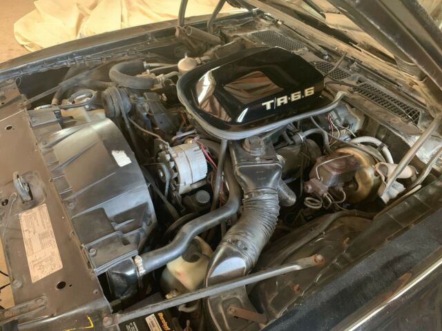 Pontiac Trans Am 1979 image number 19