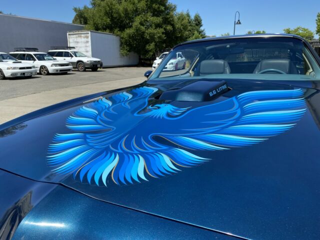 Pontiac Firebird 1979 image number 20