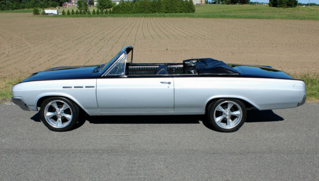 Buick Skylark 1964 image number 0
