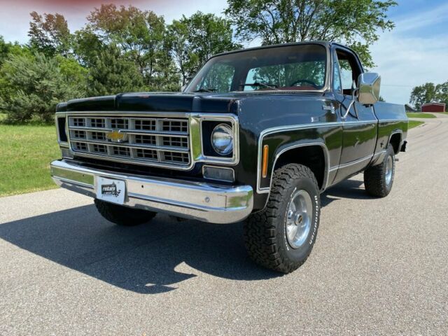 Chevrolet Silverado 1500 1978 image number 23