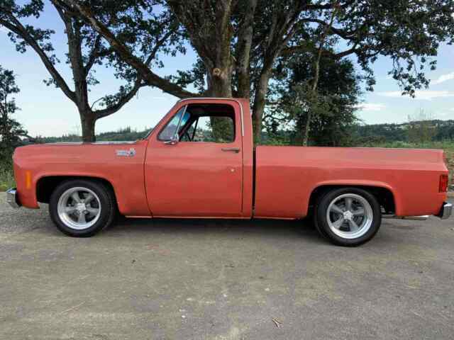 Chevrolet C10/K10 1978 image number 22
