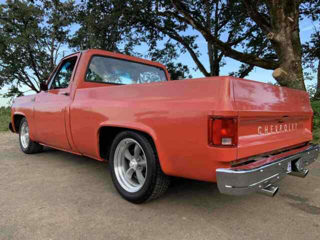 Chevrolet C10/K10 1978 image number 3