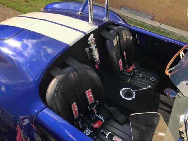 Ford Cobra 1965 image number 22