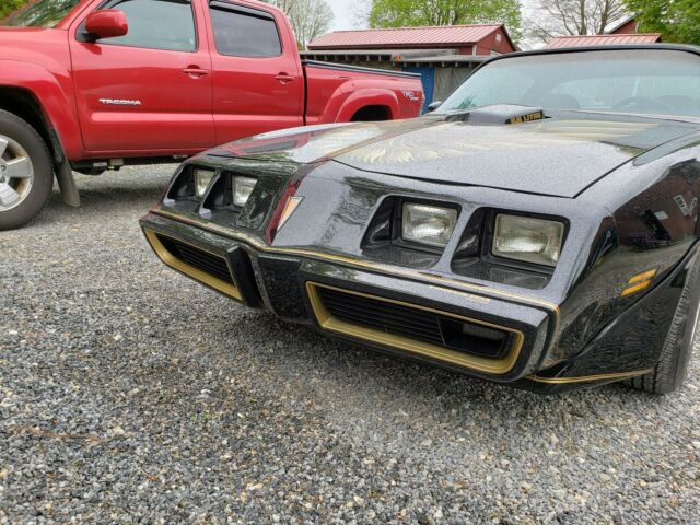 Pontiac Trans Am 1979 image number 7