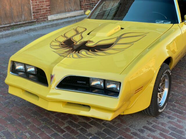 Pontiac Trans Am 1977 image number 10