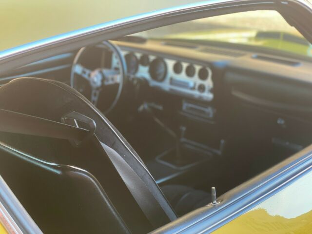 Pontiac Trans Am 1977 image number 28