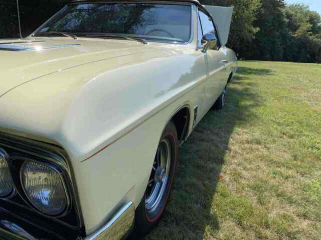 Buick Skylark GS 1966 image number 5