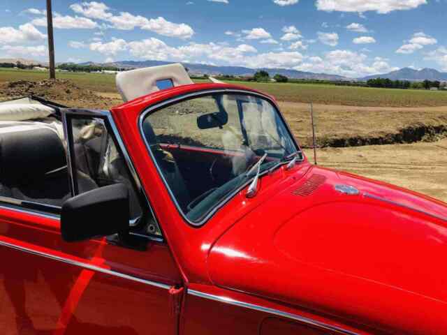 Volkswagen Beetle (Pre-1980) 1969 image number 27