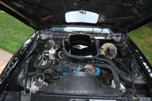 Pontiac Trans Am 1979 image number 18