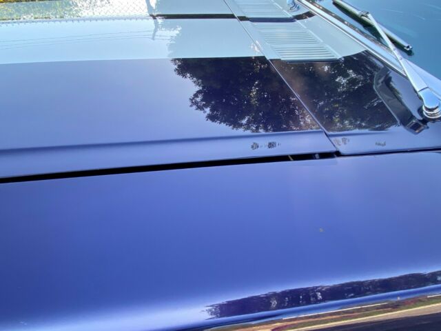 Ford Mustang 1965 image number 37