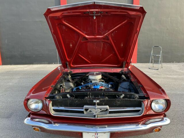 Ford Mustang 1965 image number 9
