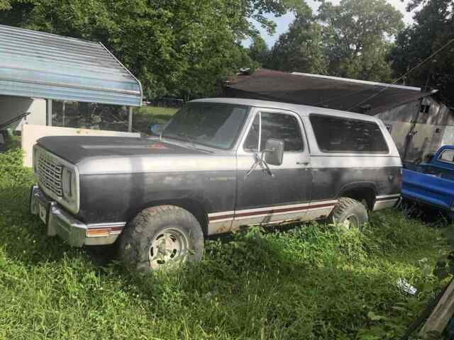 Dodge Ramcharger 1977 image number 12