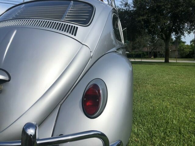 Volkswagen Beetle - Classic 1966 image number 5