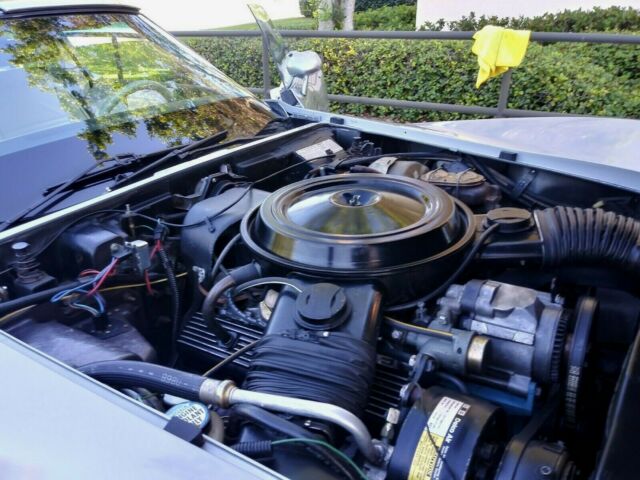 Chevrolet Corvette 1978 image number 46