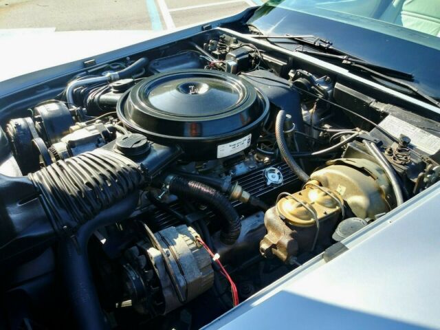 Chevrolet Corvette 1978 image number 47
