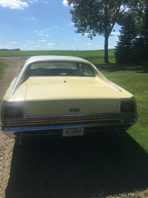 Ford Galaxie 1969 image number 16