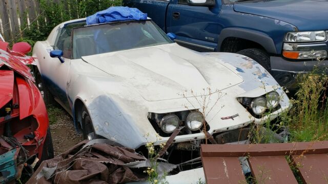 Chevrolet Corvette 1977 image number 0