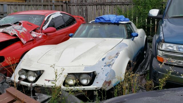 Chevrolet Corvette 1977 image number 1