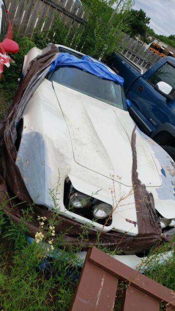 Chevrolet Corvette 1977 image number 33