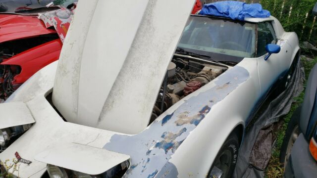 Chevrolet Corvette 1977 image number 4