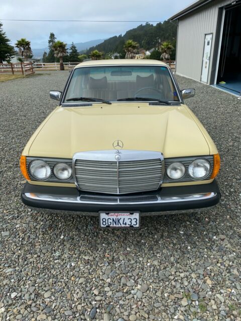 Mercedes-Benz 300-Series 1977 image number 1