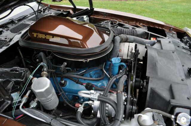 Pontiac Trans Am 1979 image number 47