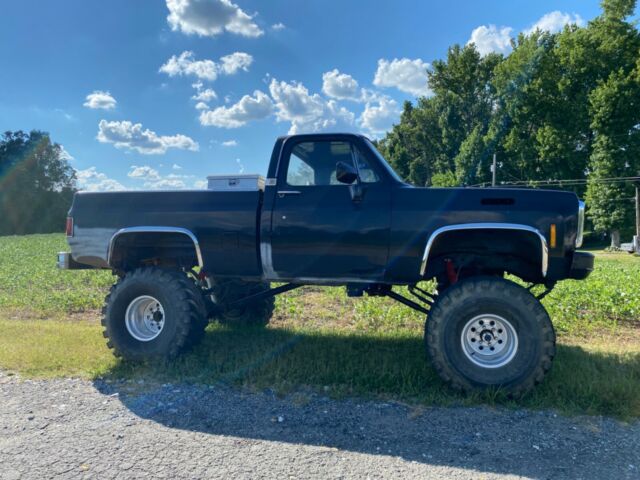 Chevrolet C/K Pickup 1500 1978 image number 22