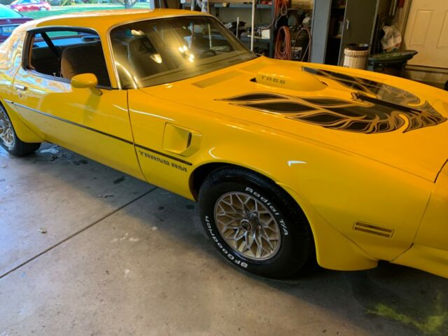 Pontiac Trans Am 1976 image number 1