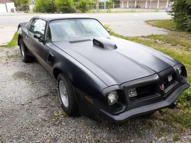 Pontiac Trans Am 1975 image number 20